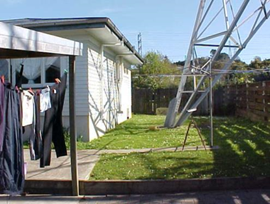 Back Yard Of House